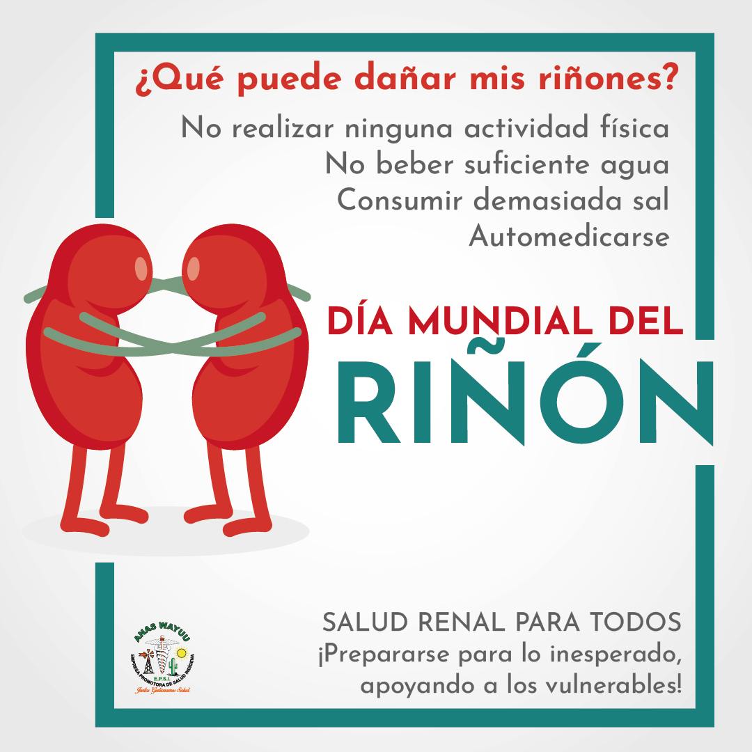 Hablemos del riñón y sus cuidados – Anas Wayuu EPSI